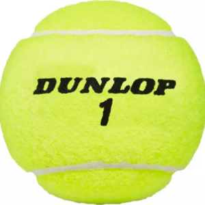 Dunlop ATP Championship Extra Duty Tennis Balls