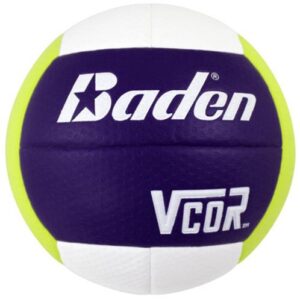 Baden Mens AVCA Microfiber VCOR Volleyballs V5S