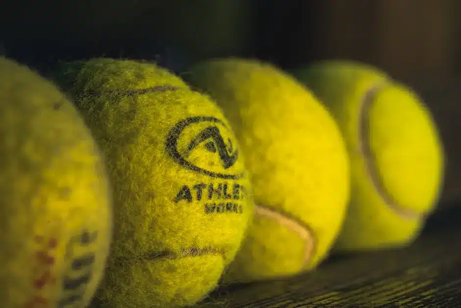 Read more about the article The Environmental Impact of Dunlop Balls and Sustainability